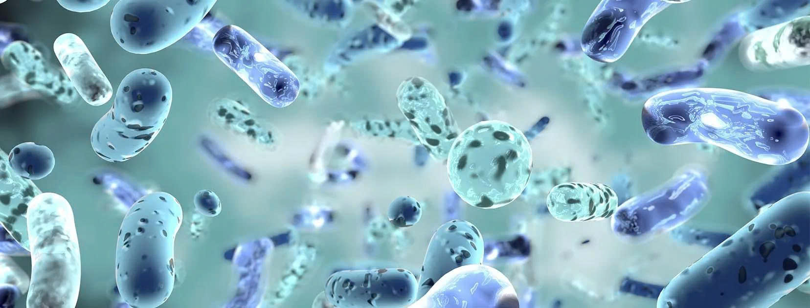 Bacillus clausii là gì? Công dụng của lợi khuẩn này đối với sức khỏe đường ruột 